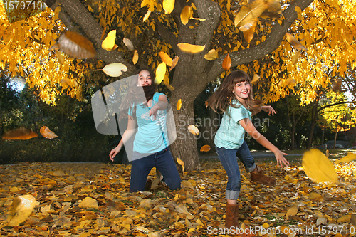 Image of Children in an Autumn Forest in the Fall