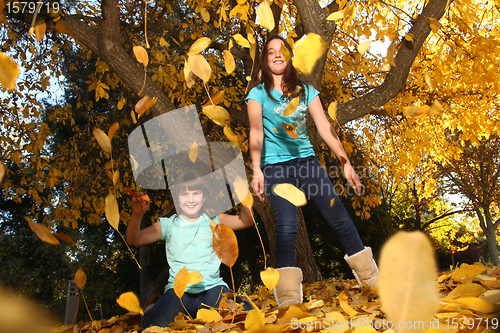 Image of Children in an Autumn Forest in the Fall