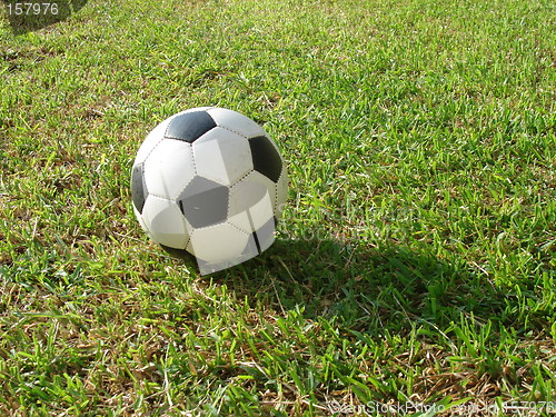 Image of Soccer & Grass