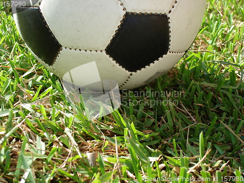 Image of soccer & grass 02