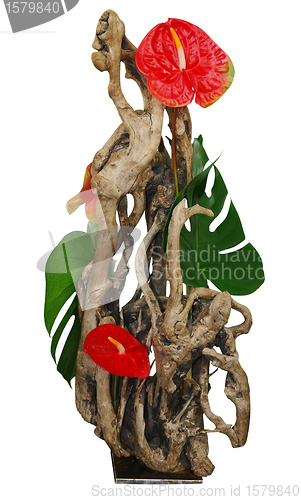 Image of Floral Arrangement using Driftwood