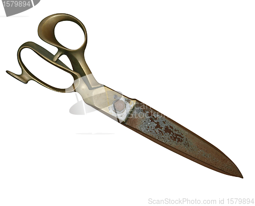 Image of Large Antique Scissors