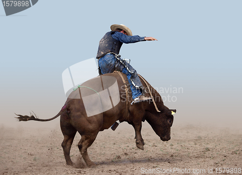 Image of Bull Rider