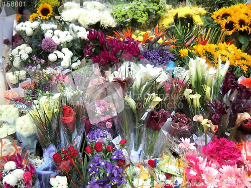 Image of Flower stand