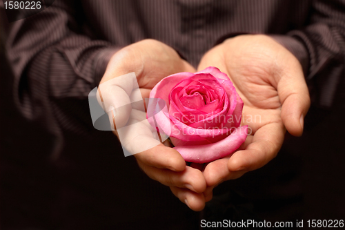 Image of hands in the shape of a heart