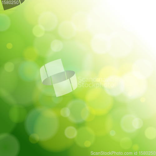 Image of green abstract light background.