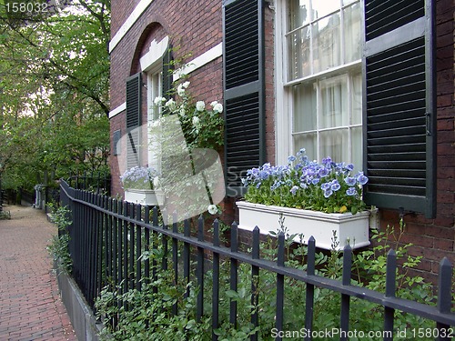 Image of Beacon Hill Flower Boxes