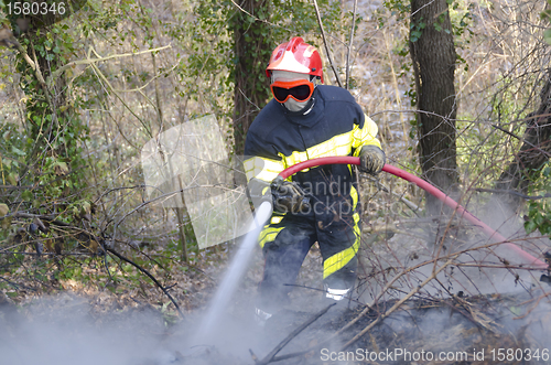Image of firefighter fighting fire