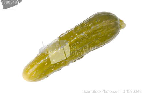 Image of gherkin isolated