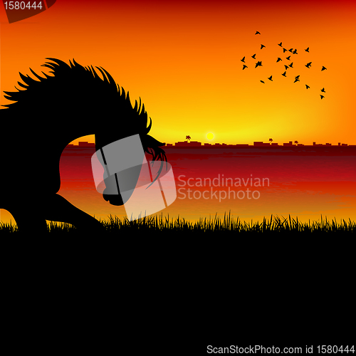 Image of silhouette view of a horse, sunset background