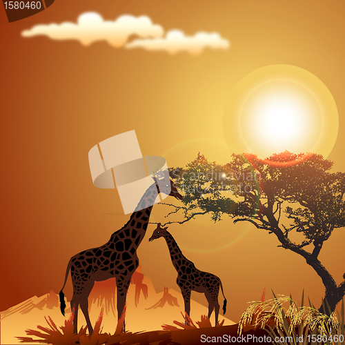 Image of silhouette of giraffe, with jungle landscape and sun