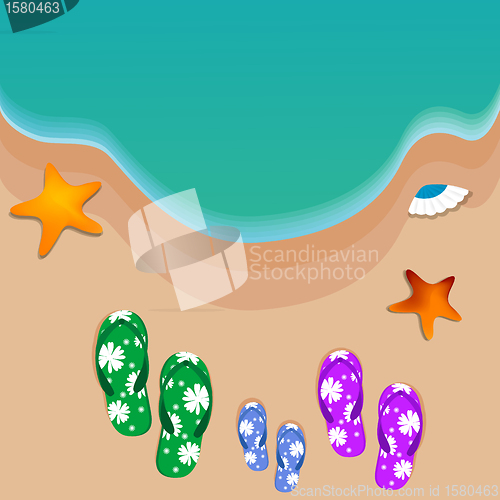 Image of travel, view of beach, starfish, shells, slippers
