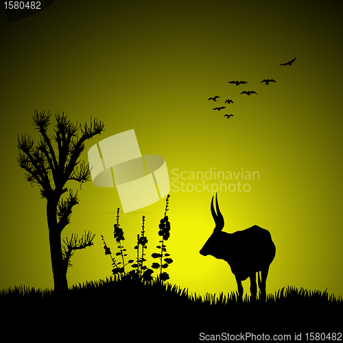 Image of silhouette of a deer with jungle landscape