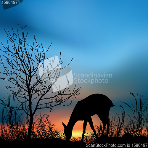 Image of silhouette view of a deer eating grass