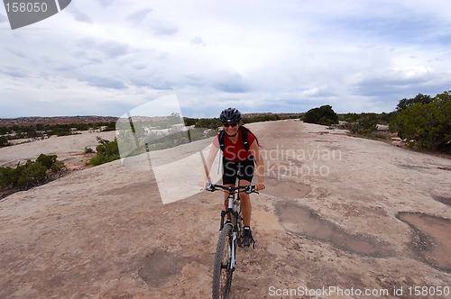 Image of Mountain biker