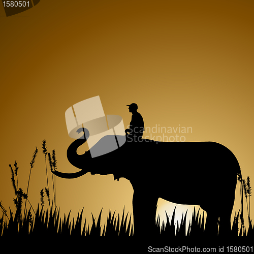 Image of silhouette of an elephant with human, wildlife