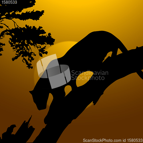 Image of silhouette view of tiger on a tree, wildlife