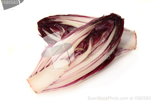 Image of Chicory