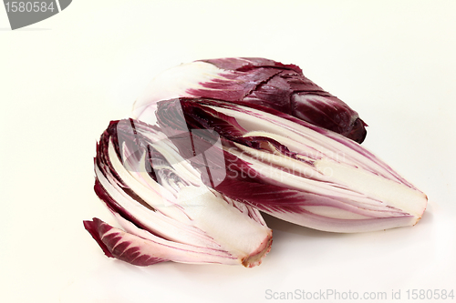 Image of Chicory