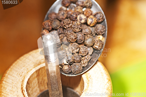 Image of black pepper