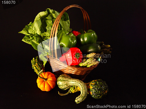 Image of Large Bright Harvest Basket