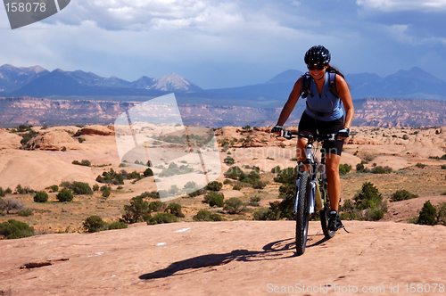 Image of Woman mountain biking