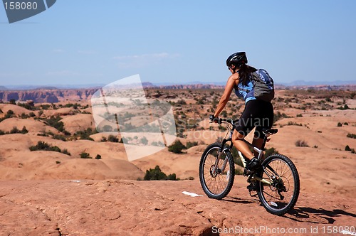 Image of Mountain biking