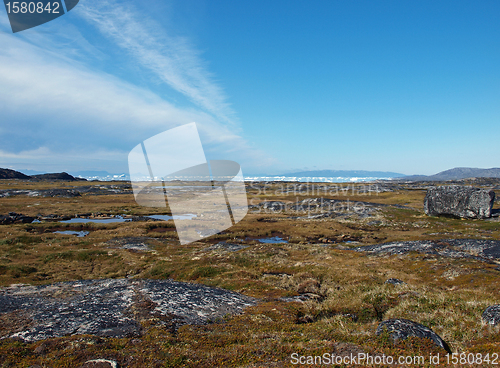 Image of Greenland west coast in summer.