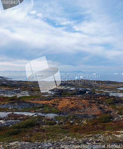 Image of Greenland west coast in summer.