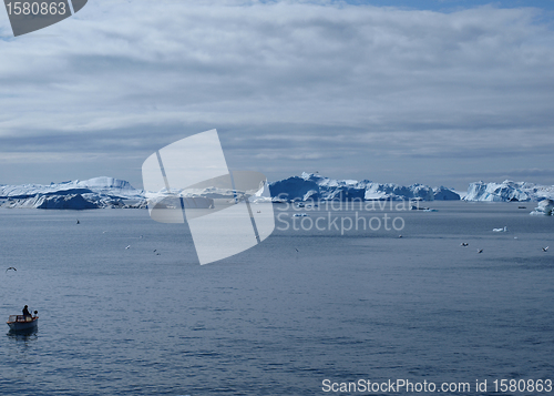 Image of Iceberg, Greenland west coast in summer