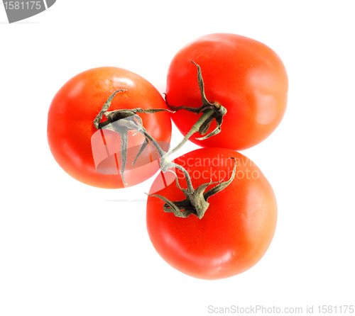 Image of Three tomatos isolated