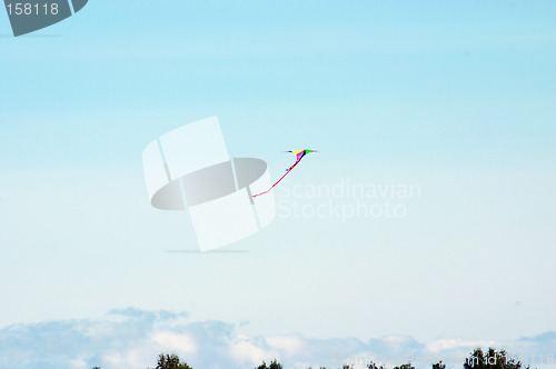 Image of Kite