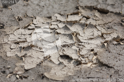 Image of Dry cracked land