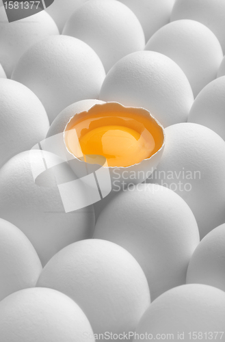 Image of eggs