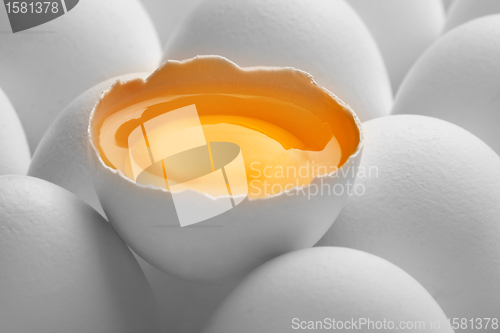 Image of Close up photo of white eggs in a raw row