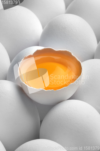 Image of Close up photo of white eggs in a raw