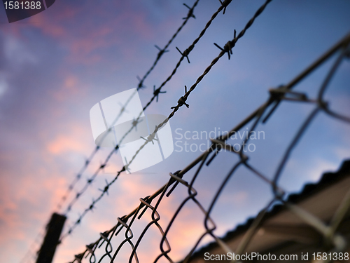 Image of 	barbed wire against evening sky