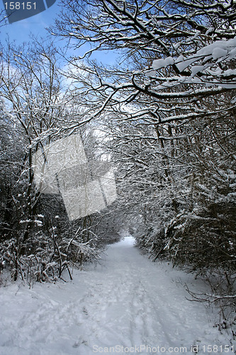 Image of Winter-Landscape