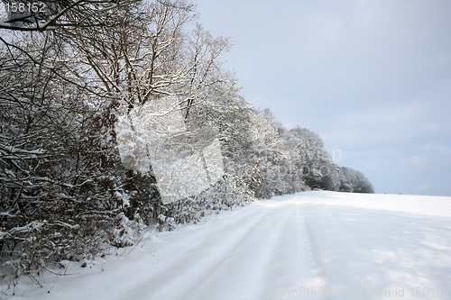 Image of Winter-Landscape