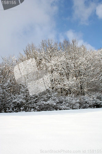 Image of Winter-Landscape