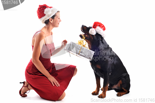 Image of rottweiler, gift and woman