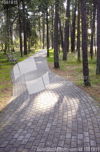 Image of Tiled path curve in park forest. bench resort area 