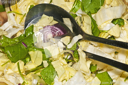Image of  salad of chicory and purslane