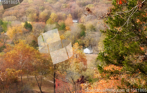 Image of ozarks forest in fall