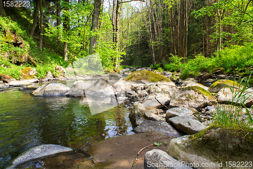 Image of small wild river in Bohemian forest 