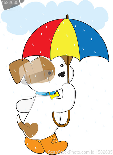 Image of Cute Puppy in Rain
