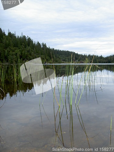 Image of lake