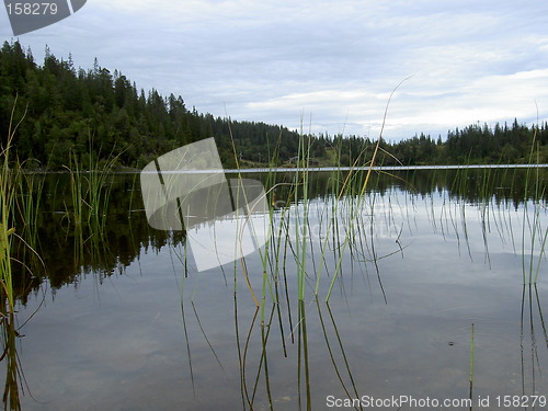 Image of lake