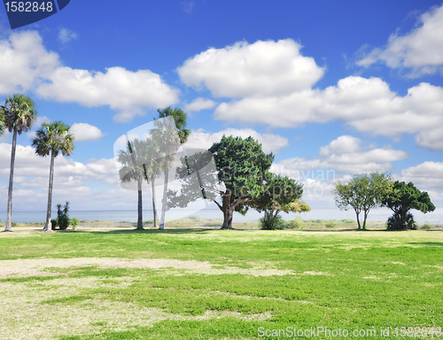 Image of Sea Landscape