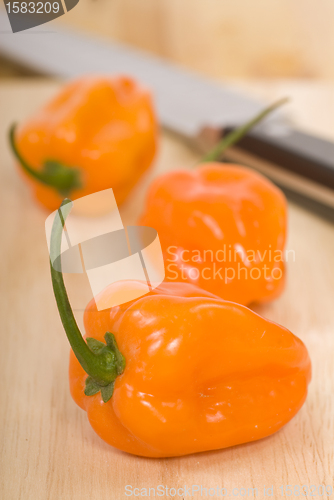 Image of Fresh Habanero peppers